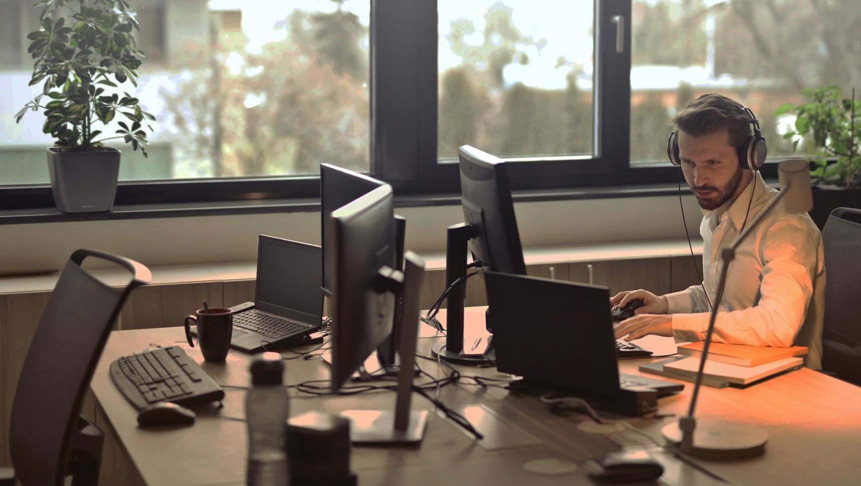 I.T. professional apprentices